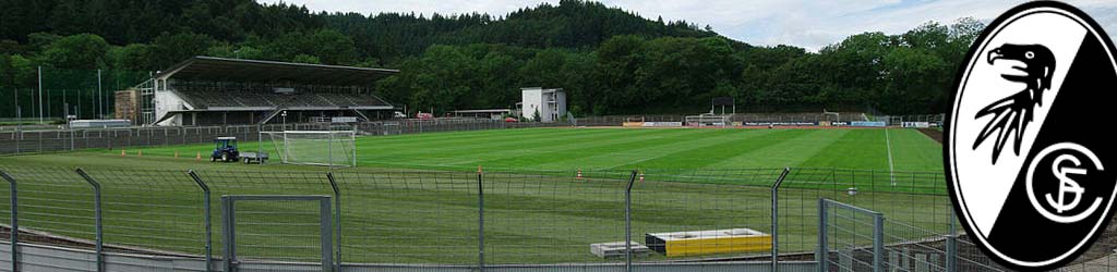 Moslestadion